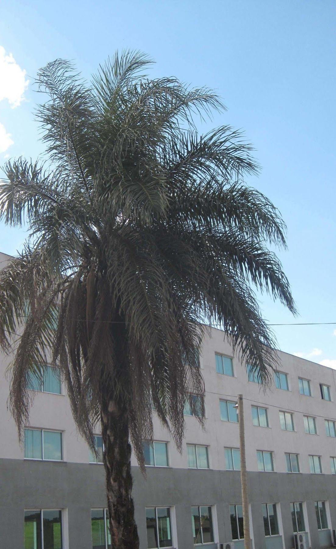 Hotel Mirante Sao Bras Sao Bras do Suacui Екстер'єр фото